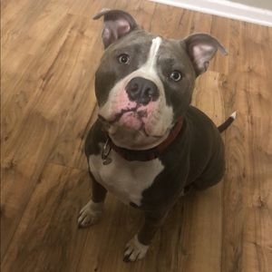 Meet your Posher, Amanda-leigh